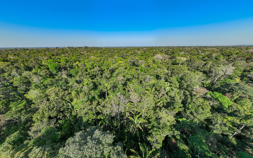 Projeto Rio Madeira- Leandro Morais-018