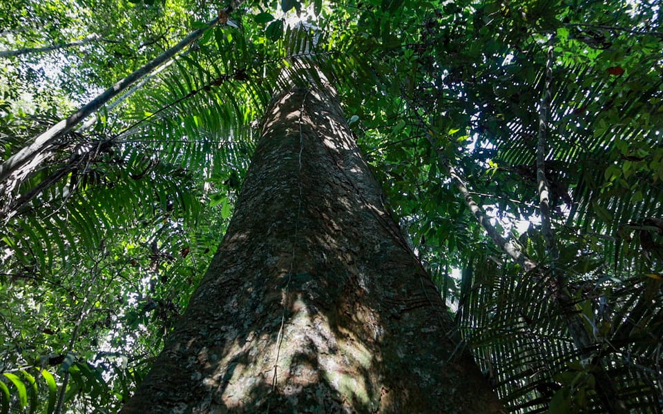 Projeto Rio Madeira- Leandro Morais-063