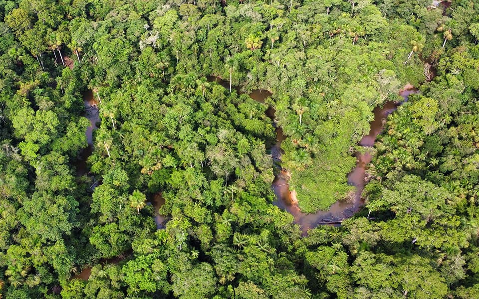 Projeto Rio Preto - 2