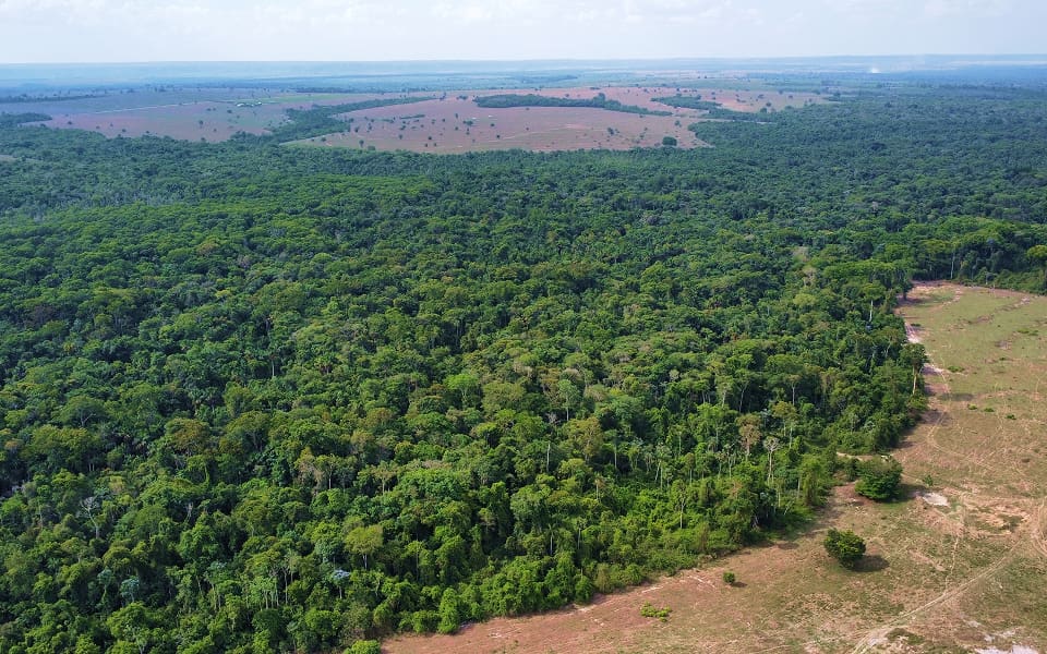 Projeto Rio Preto - 4